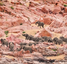 Fotos por David de Vleeschauwer