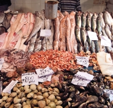 Fotos de Gonzalo Donoso