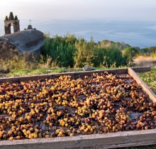 Fotos de Barbara Ainis